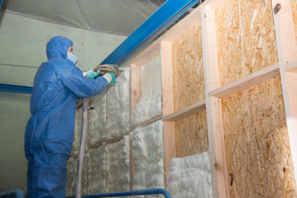 Best Blown-in Insulation  in Okauchee Lake, WI